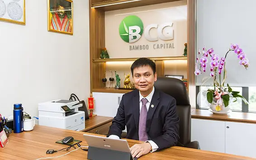 Cổ phiếu BCG của ông Nguyễn Hồ Nam bị bán giải chấp