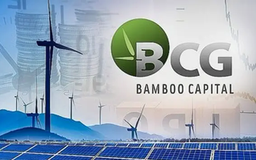 Cổ phiếu Bamboo Capital được 'giải cứu'