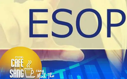 Cổ phiếu ESOP và ảnh hưởng tới cổ đông