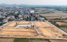 Đấu giá lại 36 thửa đất bị 'thổi' 30 tỷ đồng/m²