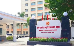 Sắp xếp, thu gọn cơ sở giáo dục Đại học công lập