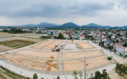 Đấu giá lại đất Sóc Sơn, cao nhất 48,9 triệu đồng/m²