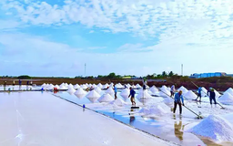 Kết tinh hạt muối Bạc Liêu | Trăm miền hội tụ | 07/03/2025
