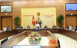 Cân nhắc giữ xăng trong danh mục chịu thuế tiêu thụ đặc biệt