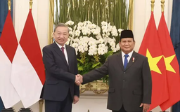 Việt Nam-Indonesia nâng cấp lên Đối tác Chiến lược toàn diện