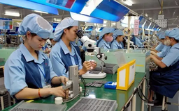 Niềm tin kinh doanh còn thấp ở doanh nghiệp Việt Nam