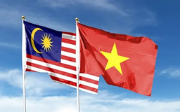 Malaysia quan tâm đầu tư nhiều lĩnh vực tại Việt Nam