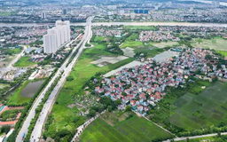 Thị trường đất nền ngoại thành Hà Nội sôi động