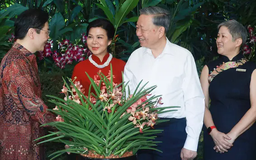 Singapore có loài hoa lan mới từ tên Tổng Bí thư Tô Lâm và Phu nhân