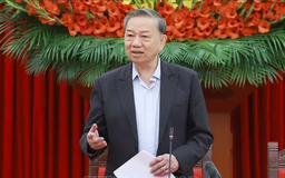 Báo cáo chính trị là ngọn đuốc soi đường