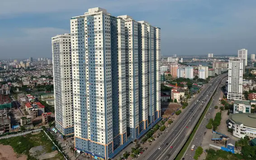 Đa dạng hóa sản phẩm để phát triển nhà giá rẻ