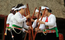 Hội tụ giữa đại ngàn | Trăm miền hội tụ | 14/03/2025