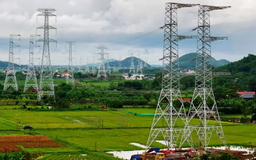 Đường dây 500kV Lào Cai-Vĩnh Yên phải xong trong 6 tháng