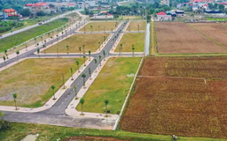 Vì sao đầu năm 2025 vẫn ít đấu giá cho tổ chức?