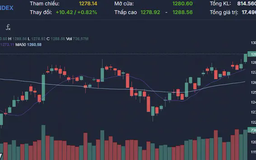 VN-Index tăng hơn 10 điểm nhờ nhóm BĐS và tài chính