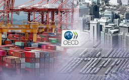 OECD hạ dự báo tăng trưởng toàn cầu