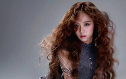 Jisoo có hủy fan meeting tại Việt Nam?