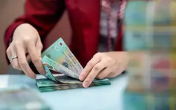 Nghỉ hưu sớm có được nâng bậc lương trước thời hạn?