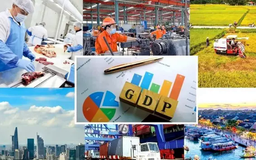 Hà Nội bàn giải pháp thúc đẩy tăng trưởng kinh tế ngành