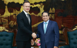 Thủ tướng tiếp Bộ trưởng Ngoại giao và Kinh tế đối ngoại Hungary