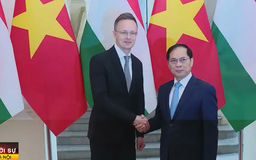 Bộ trưởng Ngoại giao Việt Nam - Hungary tiến hành hội đàm