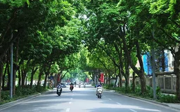 Thời tiết 19/3: Hà Nội bước vào chuỗi ngày có nắng