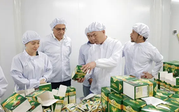 Người gìn giữ nghề thuốc gia truyền dân tộc Dao | Con đường doanh nhân | 15/03/2025
