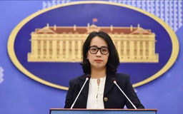 Bảo hộ kịp thời người Việt Nam được giải cứu ở Myanmar