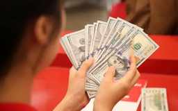 USD tự do tăng giá