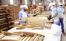 Ngành gỗ lo sợ bị Mỹ áp thuế