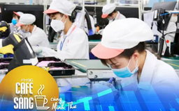 Tại sao cần coi trọng kinh tế tư nhân?