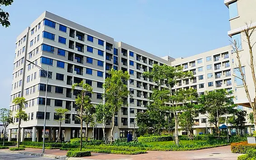 Nhà ở xã hội hiện thực hóa ước mơ an cư