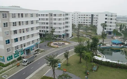 Áp dụng chính sách đặc thù xây dựng NƠXH tại Hà Nội