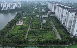 Khu đô thị Thanh Hà bị yêu cầu tạm dừng xây dựng