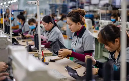 Tỉ lệ doanh nghiệp Việt rút lui cao hơn thành lập mới