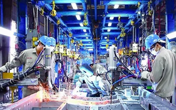 Quản trị tinh gọn giúp doanh nghiệp tăng 20-30% năng suất