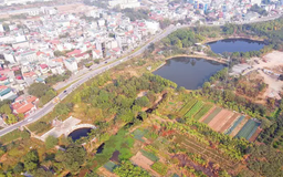 Huyện Quốc Oai đấu giá 26 thửa đất