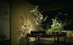 Lạc vào thế giới Ikebana 'Nhất hoa nhất khí'