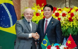 Brazil công nhận Việt Nam là nền kinh tế thị trường