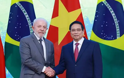 Thủ tướng Phạm Minh Chính hội kiến Tổng thống Brazil