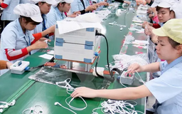 Nhiều rào cản khiến doanh nghiệp tư nhân 'chậm lớn'