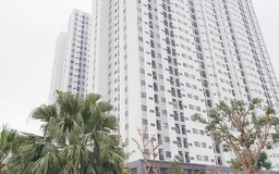 Giá thuê NƠXH tại Hải Phòng cao nhất 121.900 đồng/m²