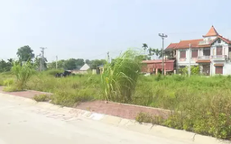 Nghiên cứu điều chỉnh chỉ tiêu sử dụng đất khi sáp nhập