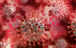 Xuất hiện virus lạ gây triệu chứng ho ra máu ở Nga