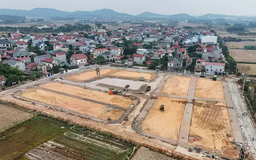 Đất trúng đấu giá tại Sóc Sơn cao nhất 120 triệu đồng/m²