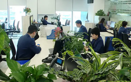 Áp dụng tiêu chuẩn ESG, hướng đi phát triển bền vững | Chuyển đổi xanh | 22/02/2025