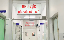 6 người nguy kịch vì uống rượu trái cây