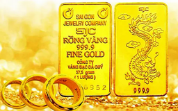 Giá vàng ngày 31/3 chưa có dấu hiệu 'hạ nhiệt'