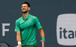 Novak Djokovic bỏ lỡ cơ hội giành ATP thứ 100