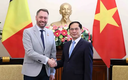 Tăng cường hợp tác hơn nữa Việt Nam - Bỉ